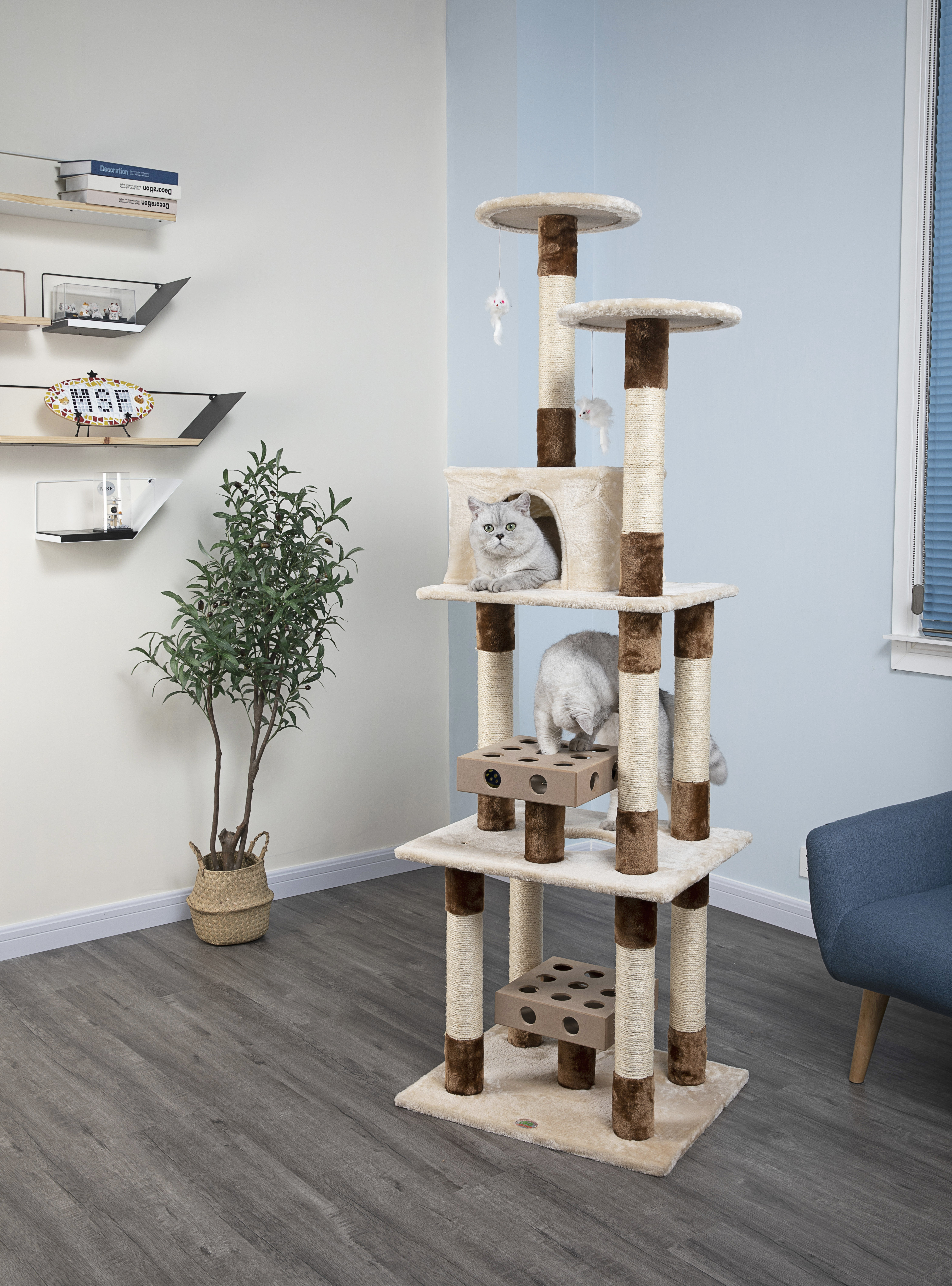 cat box tree