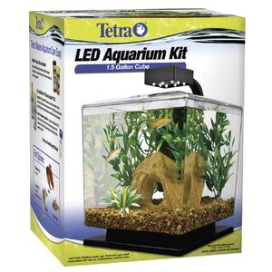 1.5 Gallon Aquarium Kit