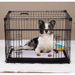 extra large dog crate pets at home