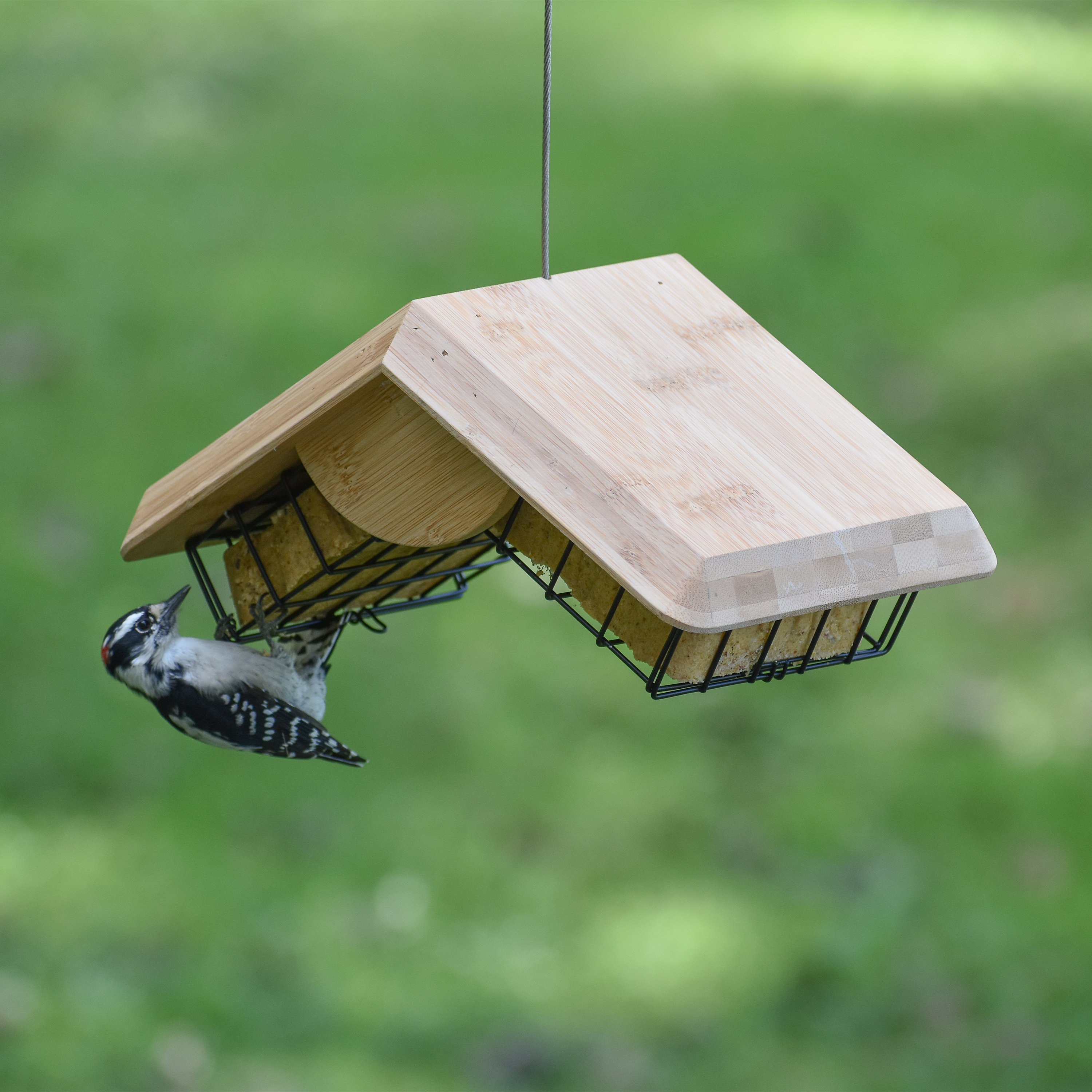Perky Pet Loft Bamboo Suet Bird Feeder Wayfair