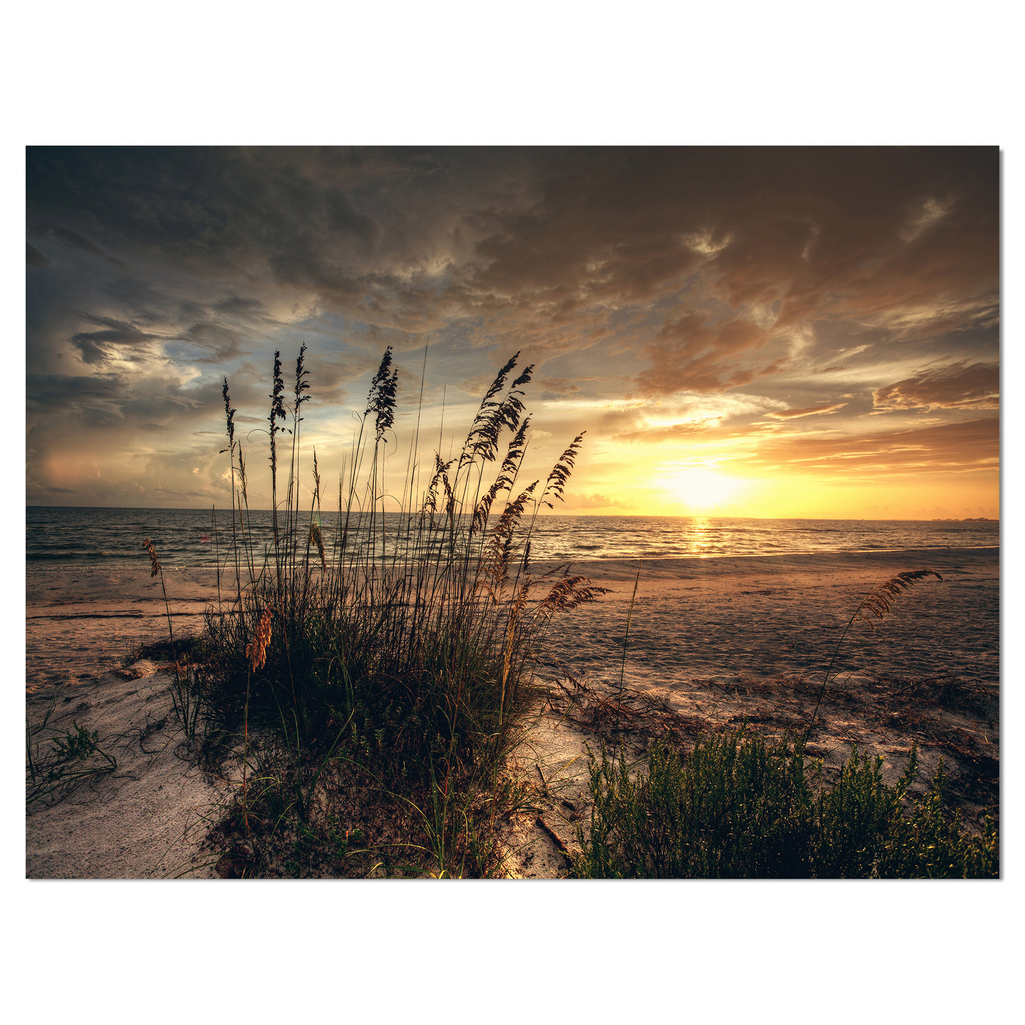 iCanvasART 3 Piece Gorgonia Miniacea on Linen Sea Foam Canvas Print by Wild Apple Portfolio 60 x 40 x 0.75-Inch