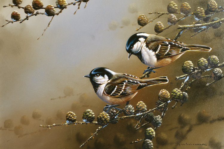 East Urban Home Two Birds On A Branch Graphic Art Print On Canvas Wayfair Are you searching for two birds png images or vector?