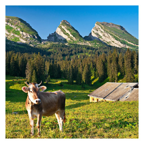 Swiss Alpine Meadow with Cow 1.92m x 1.92m Textured Matt Peel & Stick Wall Mural East Urban Home