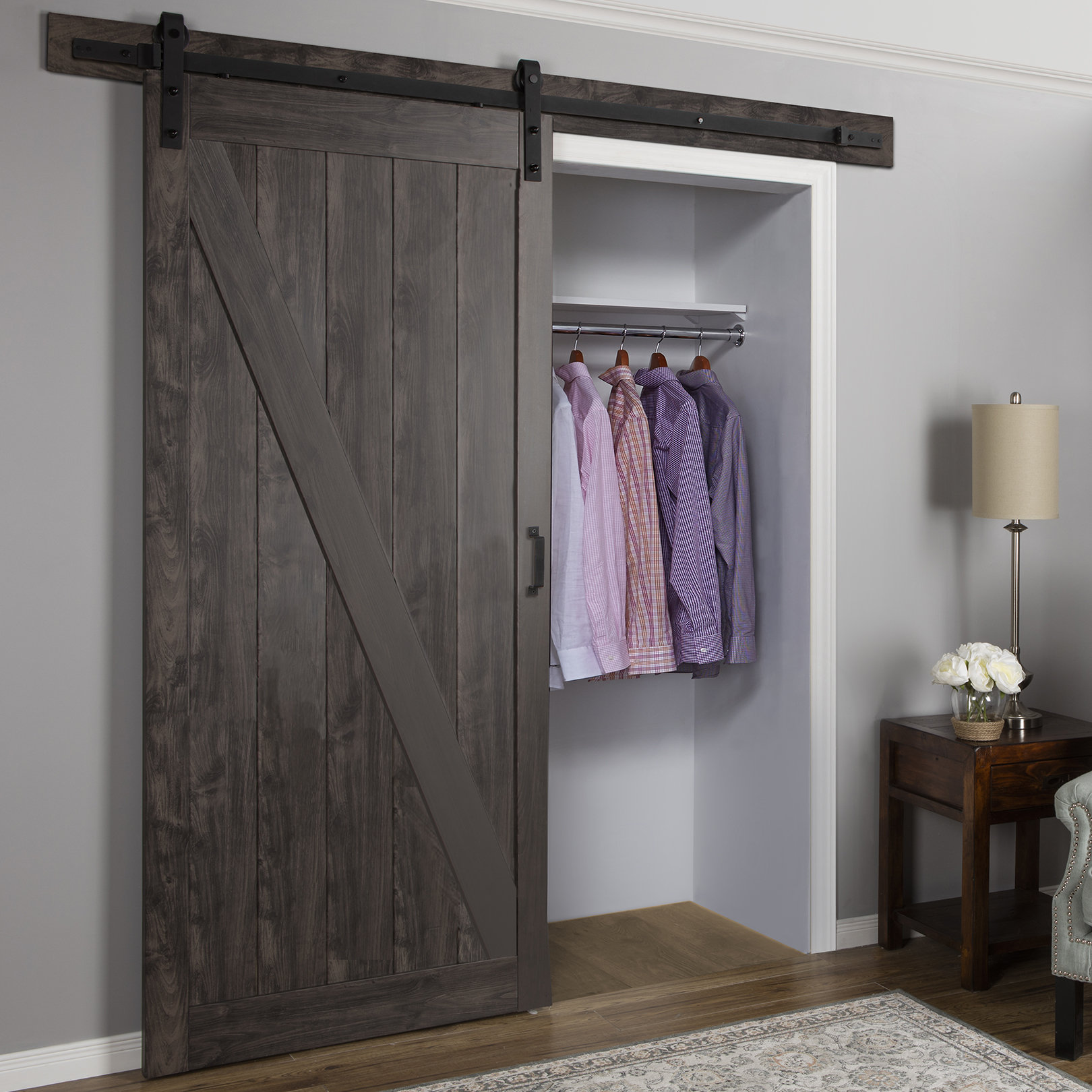 Renin Paneled Manufactured Wood Finish Cheval Barn Door With