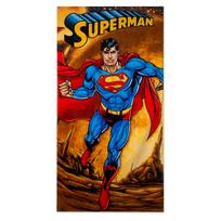 Superman DC Comics Superhero 3D Series Bath or Beach Towel 