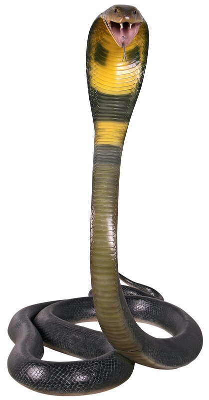 Design Toscano King Cobra Life-Size Snake Statue & Reviews | Wayfair