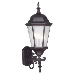 Best Busse 3-Light Outdoor Sconce By Darby Home Co Outdoor Lighting Busse 3-Light Outdoor Sconce By Darby Home Co Outdoor Lighting
