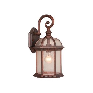 Chateau 1-Light Outdoor Wall Lantern