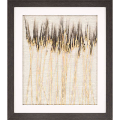 'Blackbeard Wheat' - Shadowbox Graphic Art Print on Paper Paragon