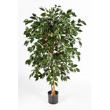 Artplants De Wayfair Co Uk Make use of artplants discount codes & vouchers in 2020 to get extra savings when shop at artplants.co.uk. artplants de wayfair co uk
