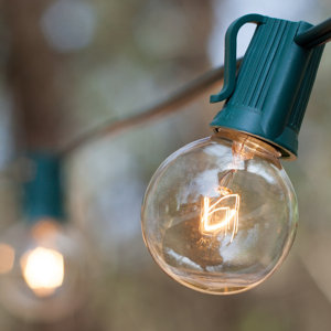 33-Light Globe String Lights