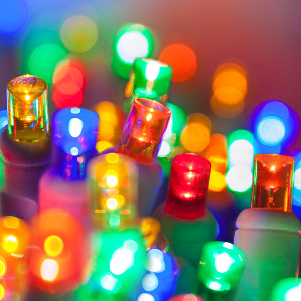 70 Light Christmas LED Light by Wintergreen Lighting