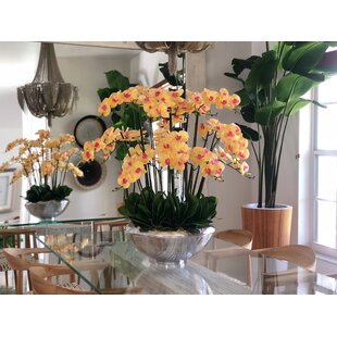 Wayfair Orange Faux Flowers You Ll Love In 2021