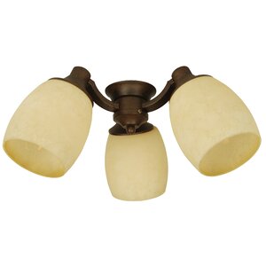 3-Light Branched Ceiling Fan Light Kit