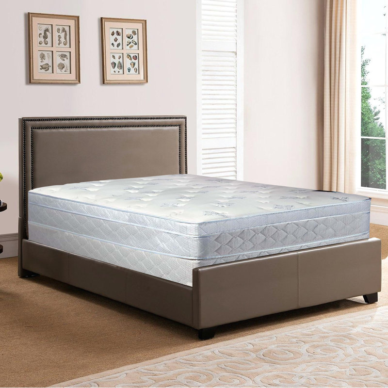 Alwyn Home 10 Plush Pillow Top Mattress And Box Spring Reviews