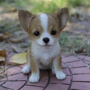 Brown and White Chihuahua Puppy Statue