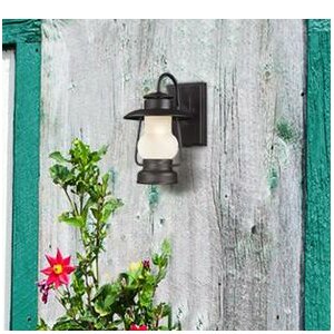 Caratunk 1-Light Outdoor Wall Lantern
