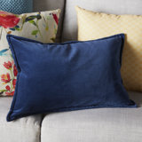 Fuchsia Velvet Pillow Wayfair