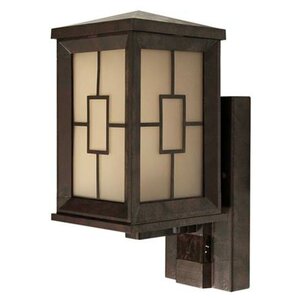 Motion Activated 1-Light Outdoor Sconce