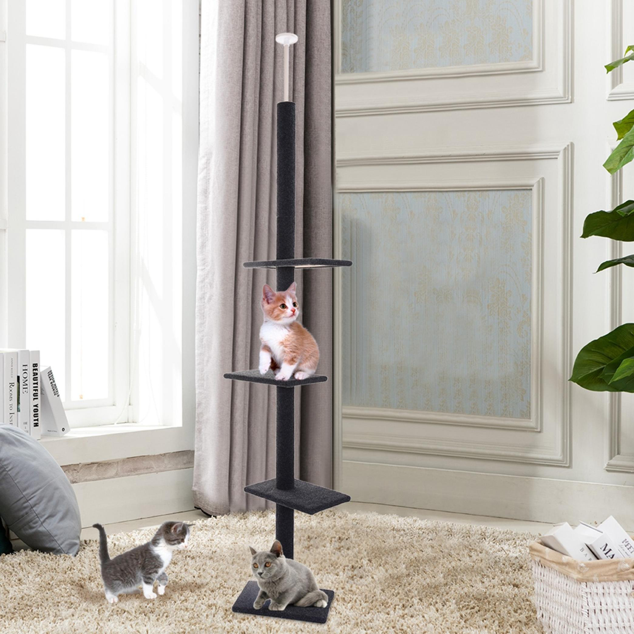 cat climbing structures