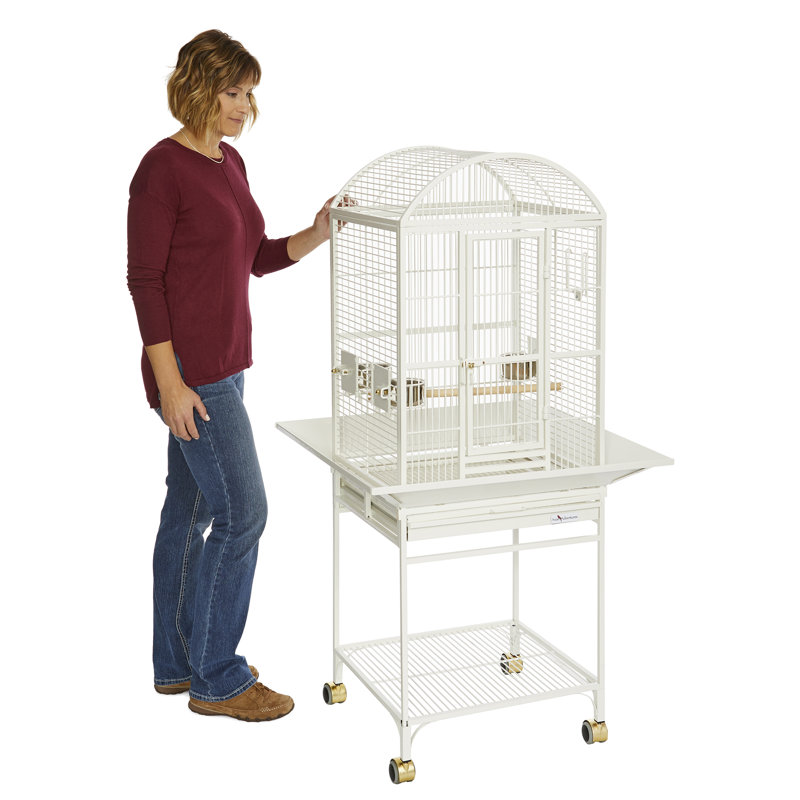 Avian Adventures Nina Dometop Bird Cage Reviews Wayfair