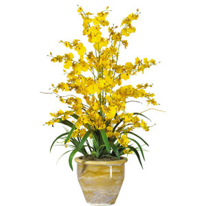 Triple Dancing Lady Silk Orchid Flowers in Yellow