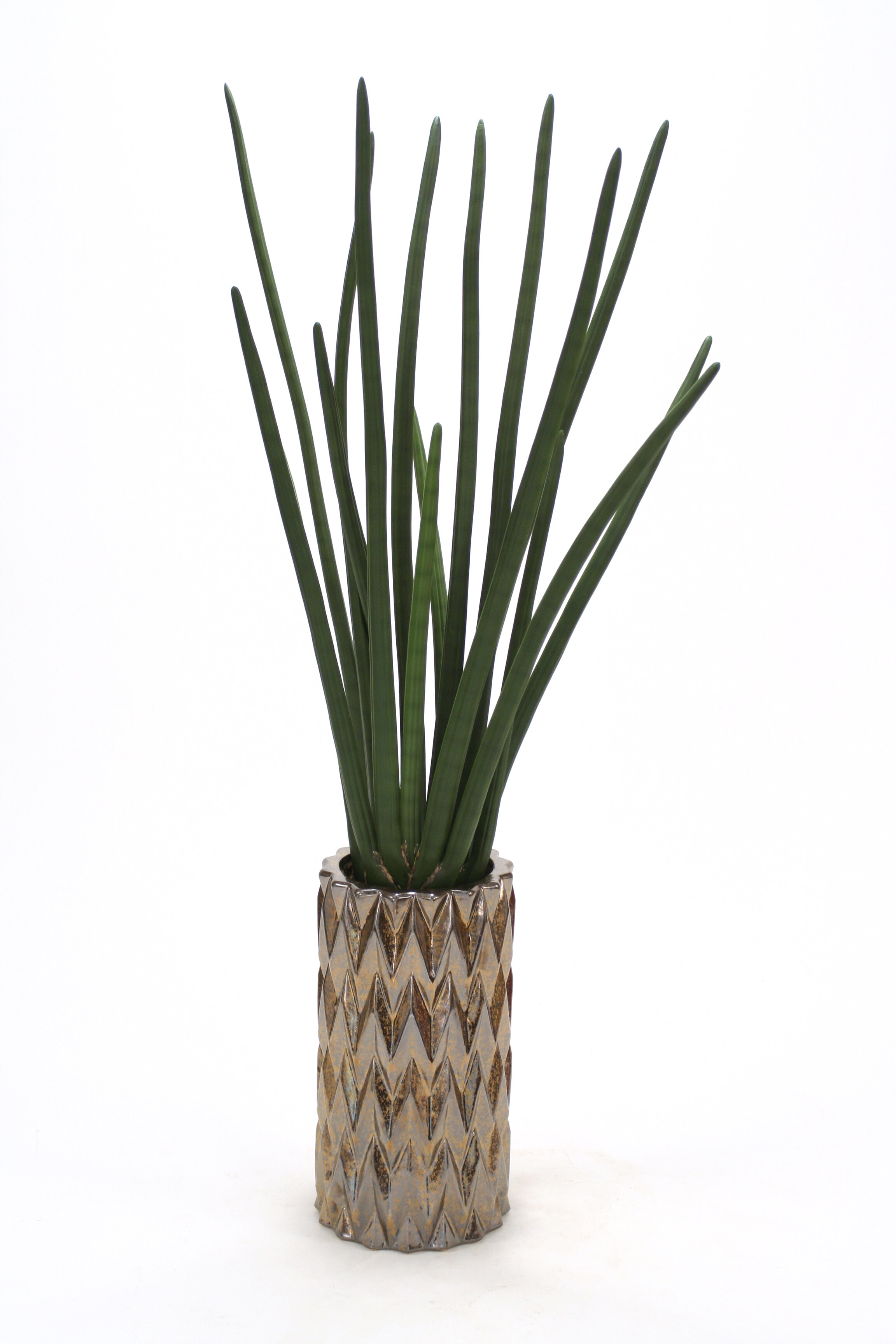 Distinctive Designs Sanseveria Floor Plant In Decorative Vase
