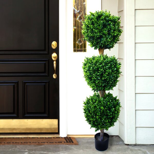 Brooklyn Floor Boxwood Topiary in Pot by Darby Home Co