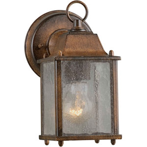 Roseland 1-Light Outdoor Wall Lantern