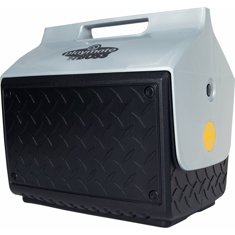 igloo lunch box cooler