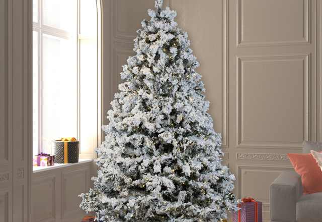 Top-Rated Christmas Trees