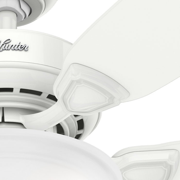 Hunter Fan 44 Caraway 5 Blade Ceiling Fan Light Kit Included