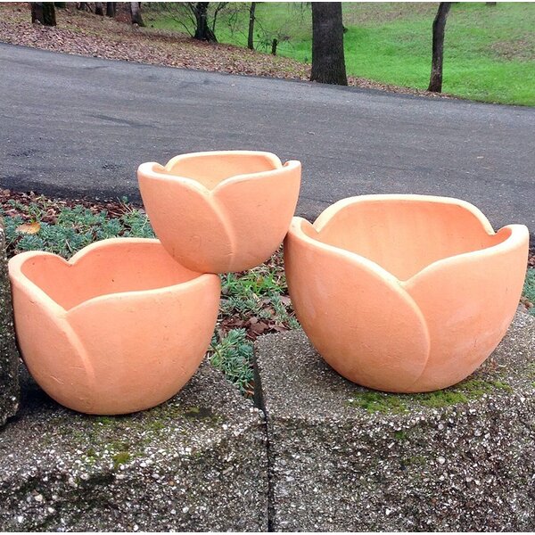 Puppis Hand Pressed Ancient Stressed Petal Terracotta Pot Planter by August Grove