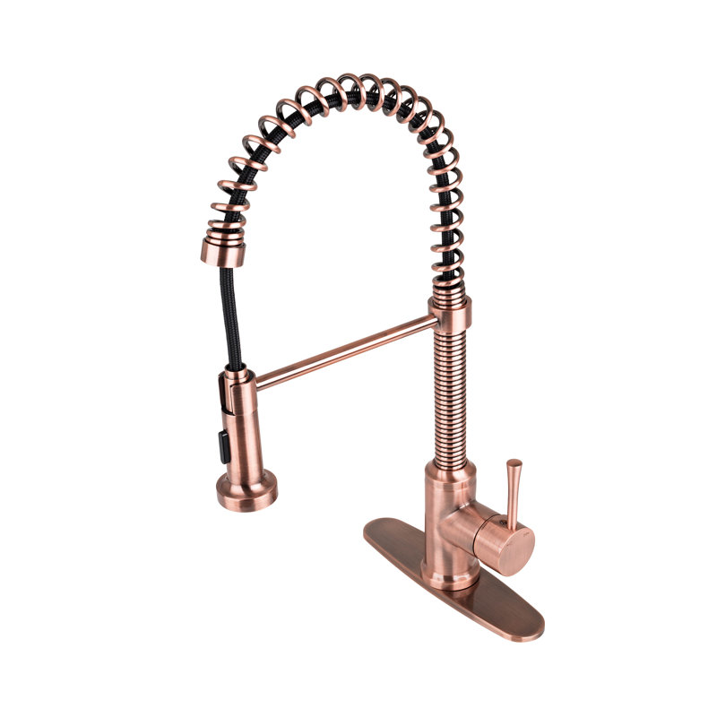 Fontainebyitalia Spring Coil Flat Spray Head Pull Down Single