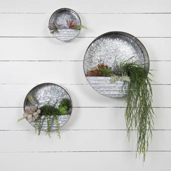 Bungalow Rose 2 Piece Cactus Wall Decor Set Wayfair Wayfair ile ilgili olayda kesinlikle bir iş doenueyor ancak yandexte kod arattim da cocuk cikti kismi sacma.goersel goersel. bungalow rose 2 piece cactus wall decor