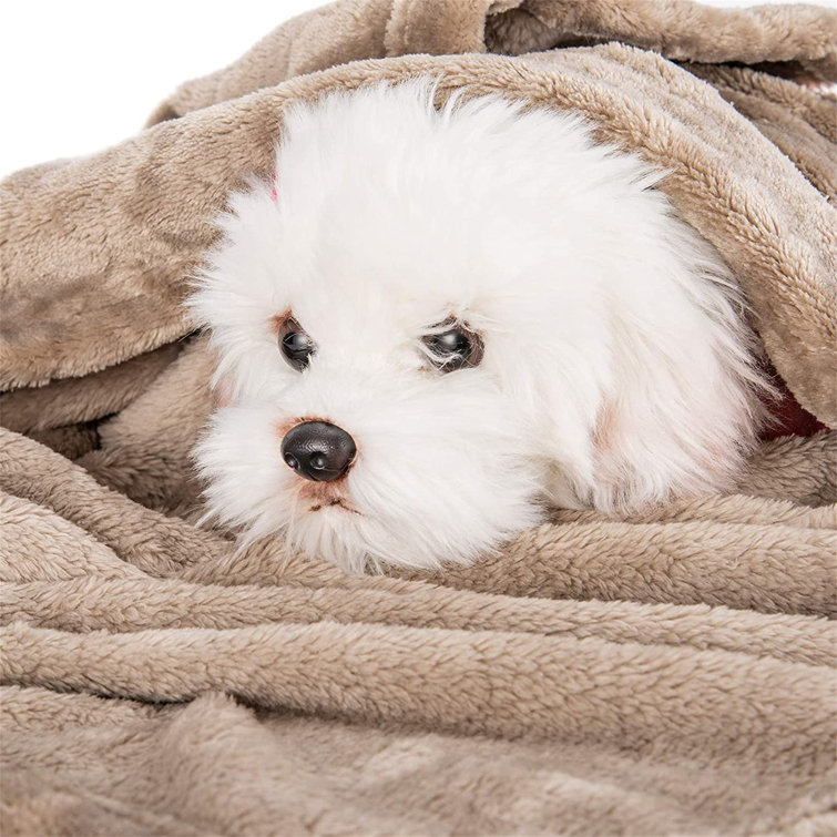 plush dog blankets