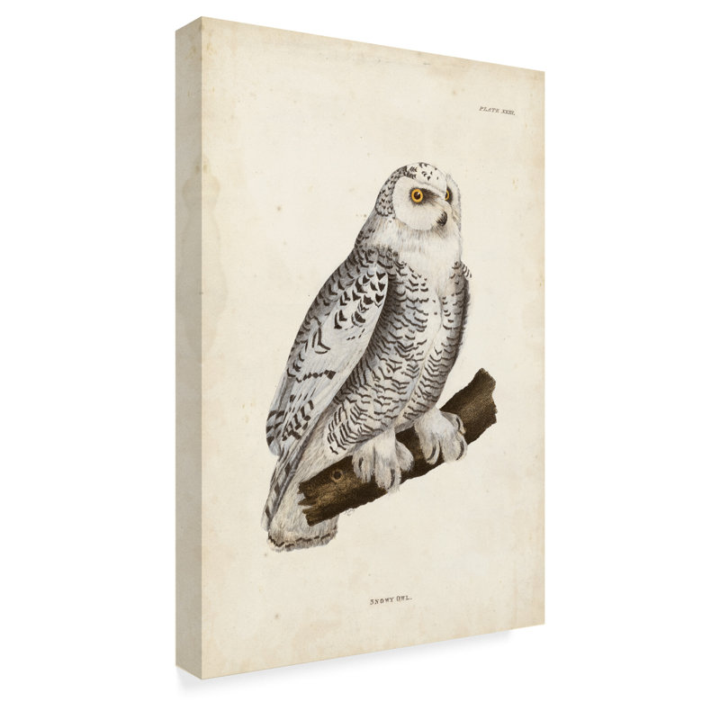 East Urban Home Snowy Owl White Acrylic Painting Print On Wrapped Canvas Wayfair