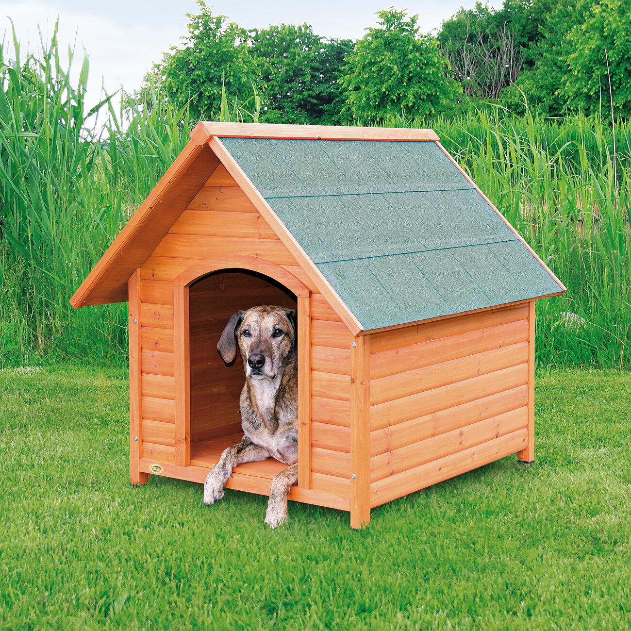 top paw log cabin dog house