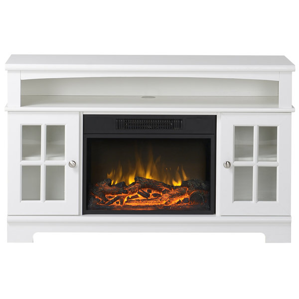 Dondre 45 TV Stand with Fireplace by Darby Home Co