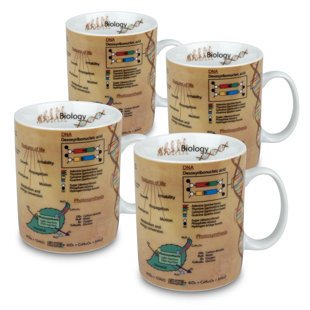 Tan And Brown Coffee Mug Set Wayfair Biology Coffee Mug Set Of 4