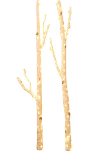 2 Piece Willow Branches with Lights Set
