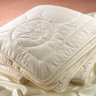 Down Duvet Insert