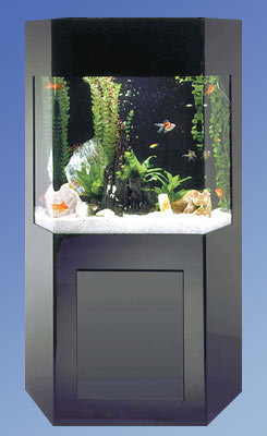 Aqua 50 Gallon Custom Shadow Box Aquarium Kit by Midwest Tropical Fountain