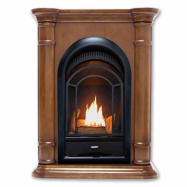 Hearthsense Vent Free Propane/Natural Gas Fireplace Insert By ProCom