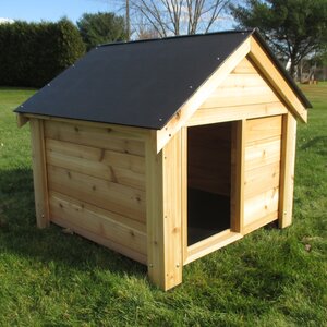 The Ultimate Dog House