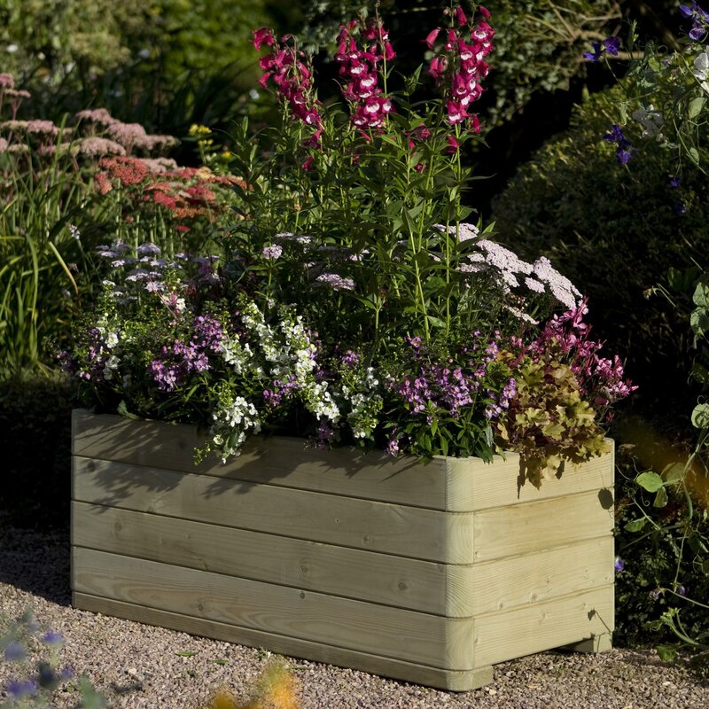 Rowlinson Wood Planter Box & Reviews | Wayfair