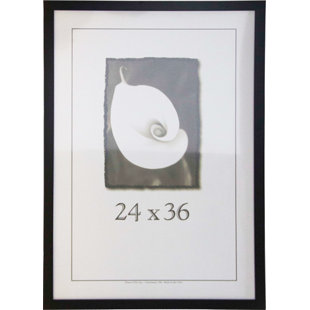 24 X 36 Picture Frames You Ll Love In 2019 Wayfair Corporate Simple Frame For Smaller Certificates