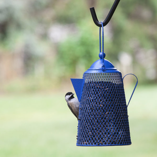 Perky Pet No No Coffee Pot Mesh Decorative Bird Feeder Reviews