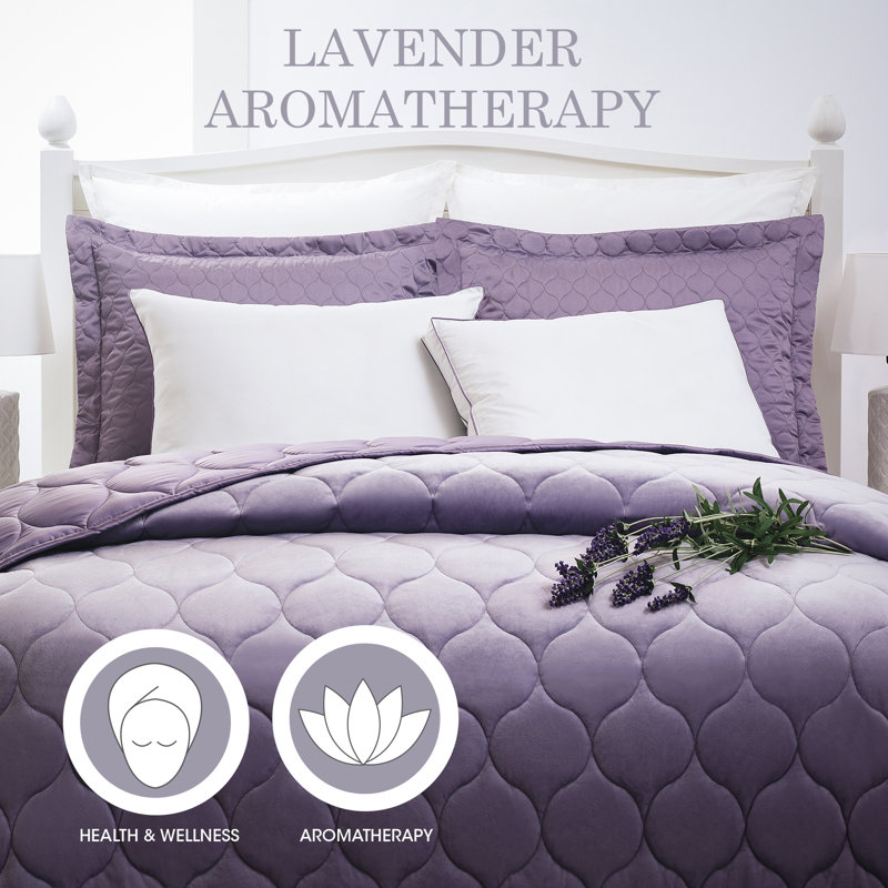 Alwyn Home Powers Aromatherapy Lavender Scented Medium Down