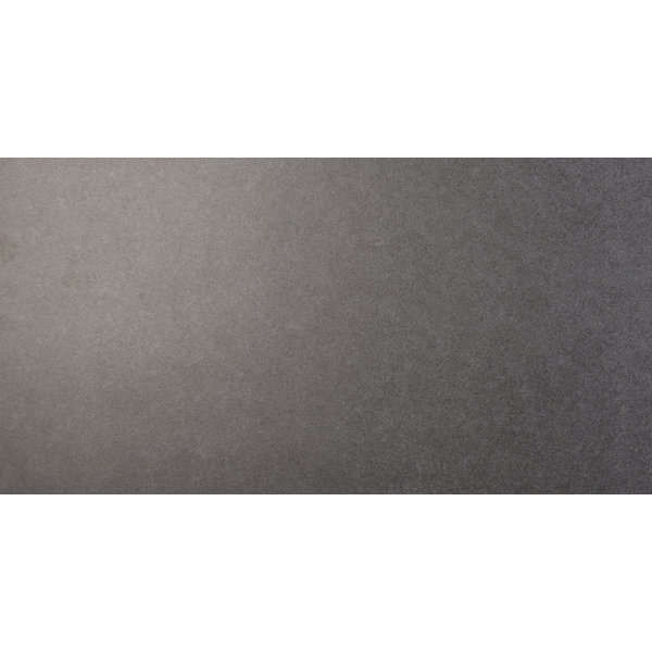 Dimensions 12 x 24 Porcelain Field Tile in Gray by MSI